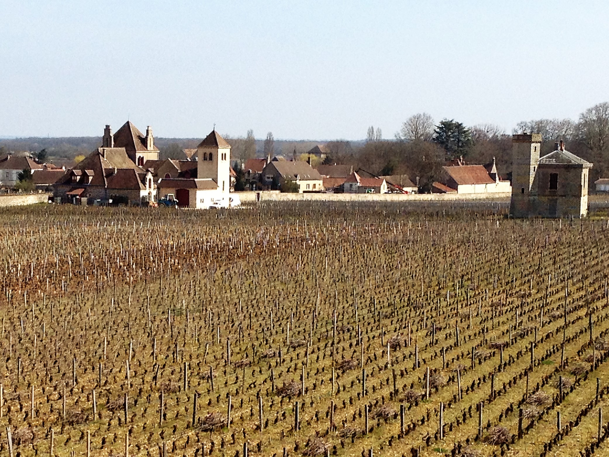 Clos Vougeot