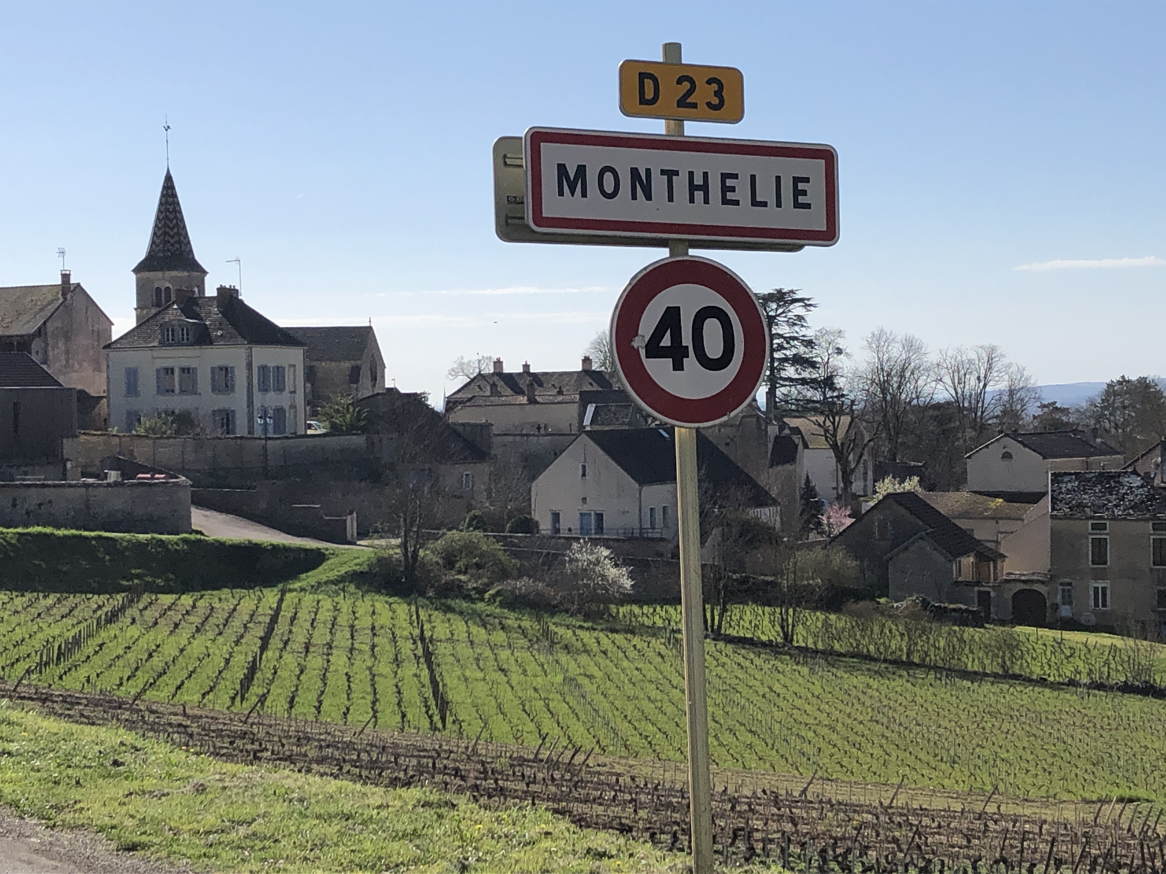 Economiser - petit cochon tirelire