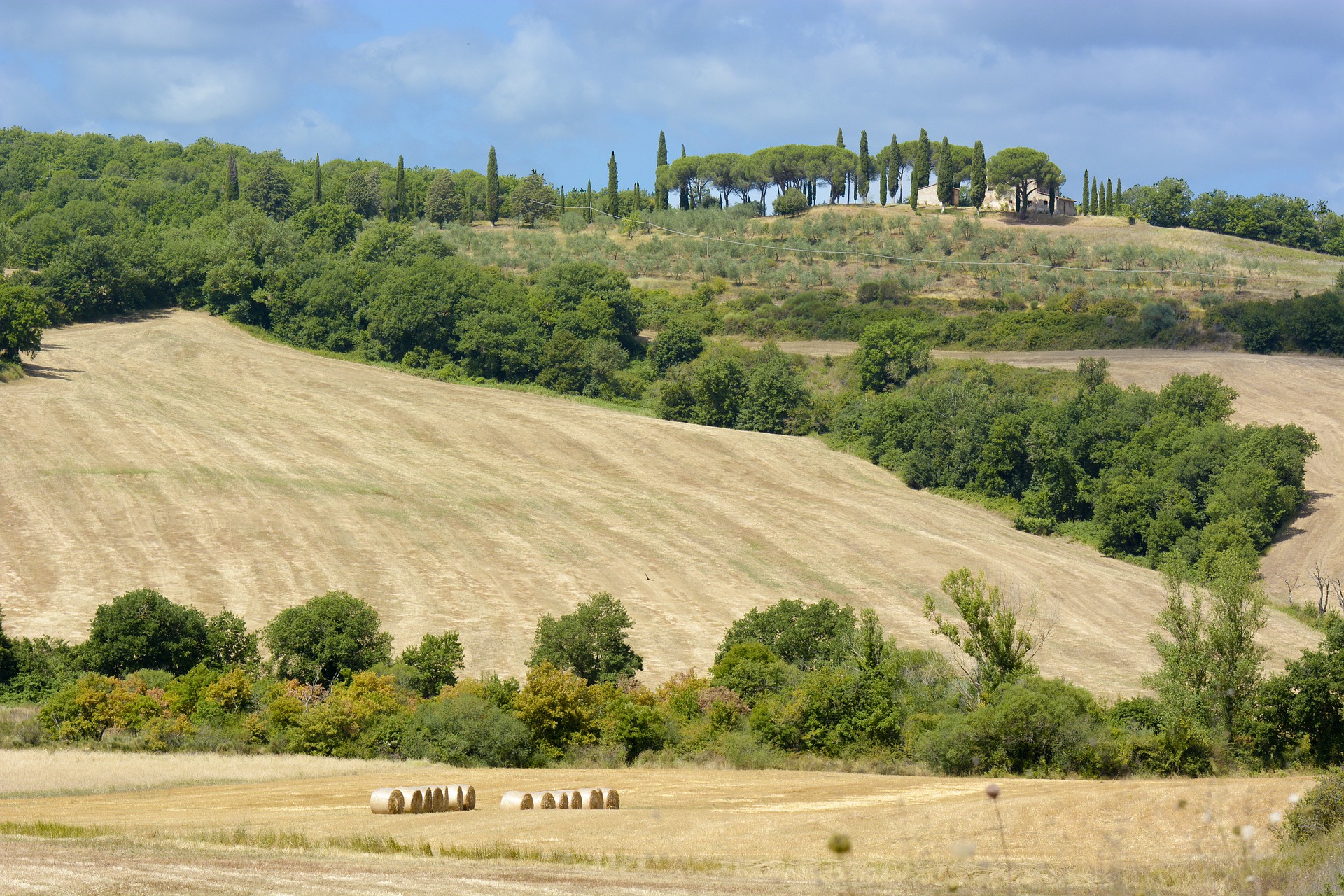 Economiser - petit cochon tirelire
